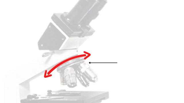 Janoscilabwell Metal White 2000X Magnification Trinocular Medical Lab Microscope with Cam Port